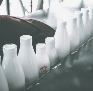 [Translate to English:] inopor – Industrie im Fokus: Milch